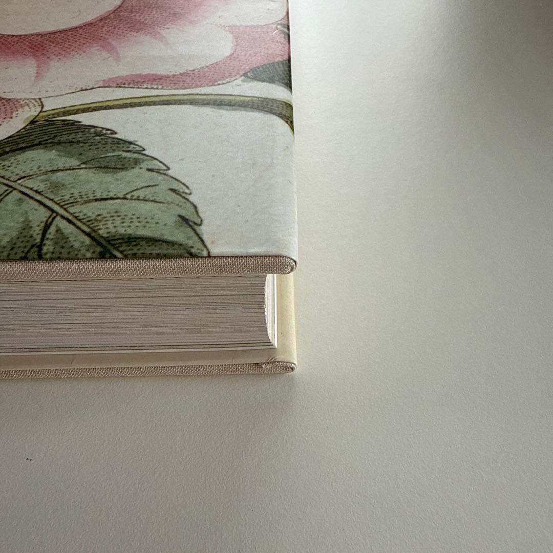 【最終お値下げ10/5本日までの特価です】ジョンデリアン ピクチャーブックII