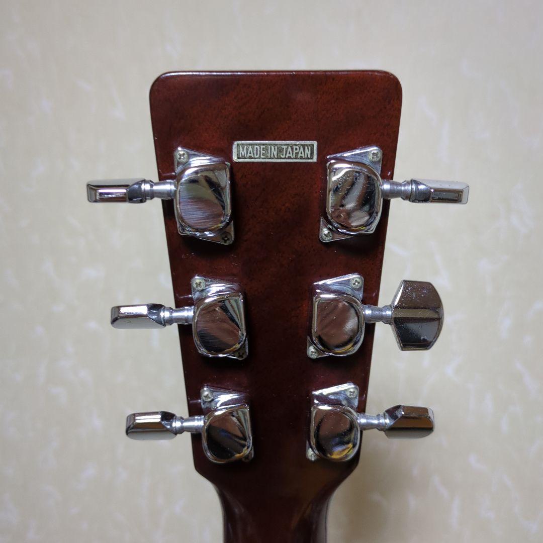 Nashville M series アコースティックギター rohamedspa.com