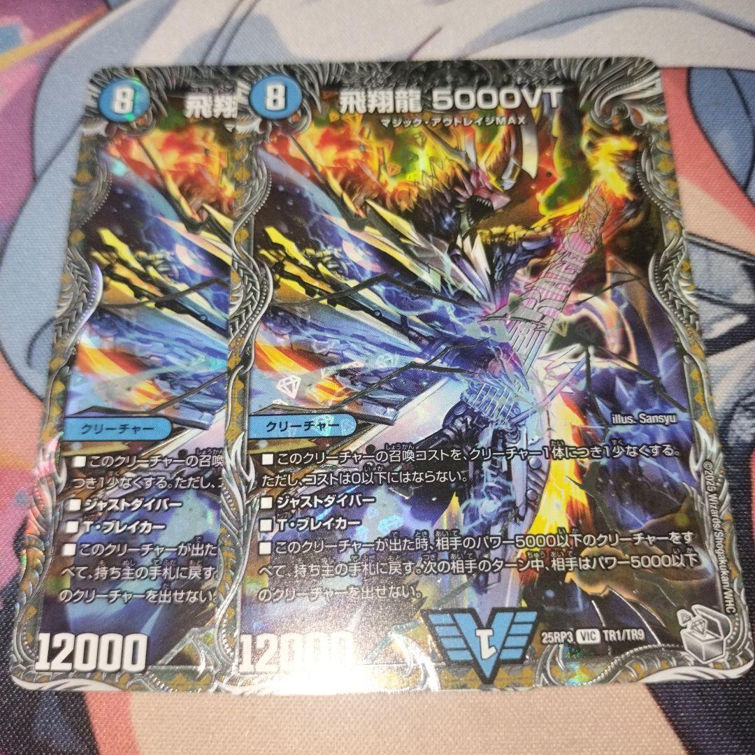 飛翔龍5000vt 2枚 銀 - メルカリ