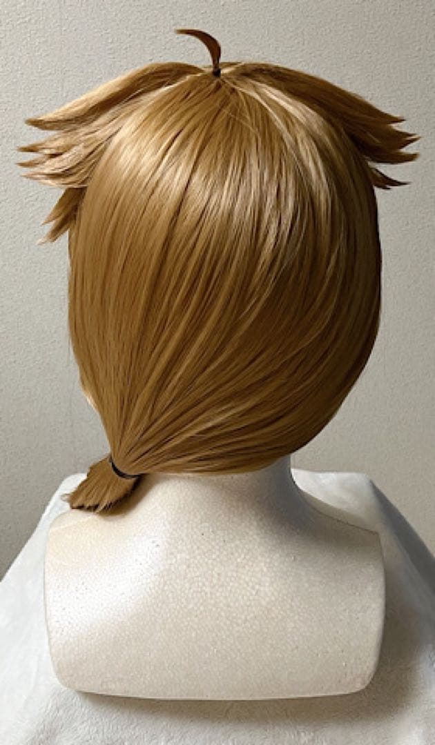 伏見ガク 伏見 ガク にじさんじ セット済 ウィッグ コスプレ衣装