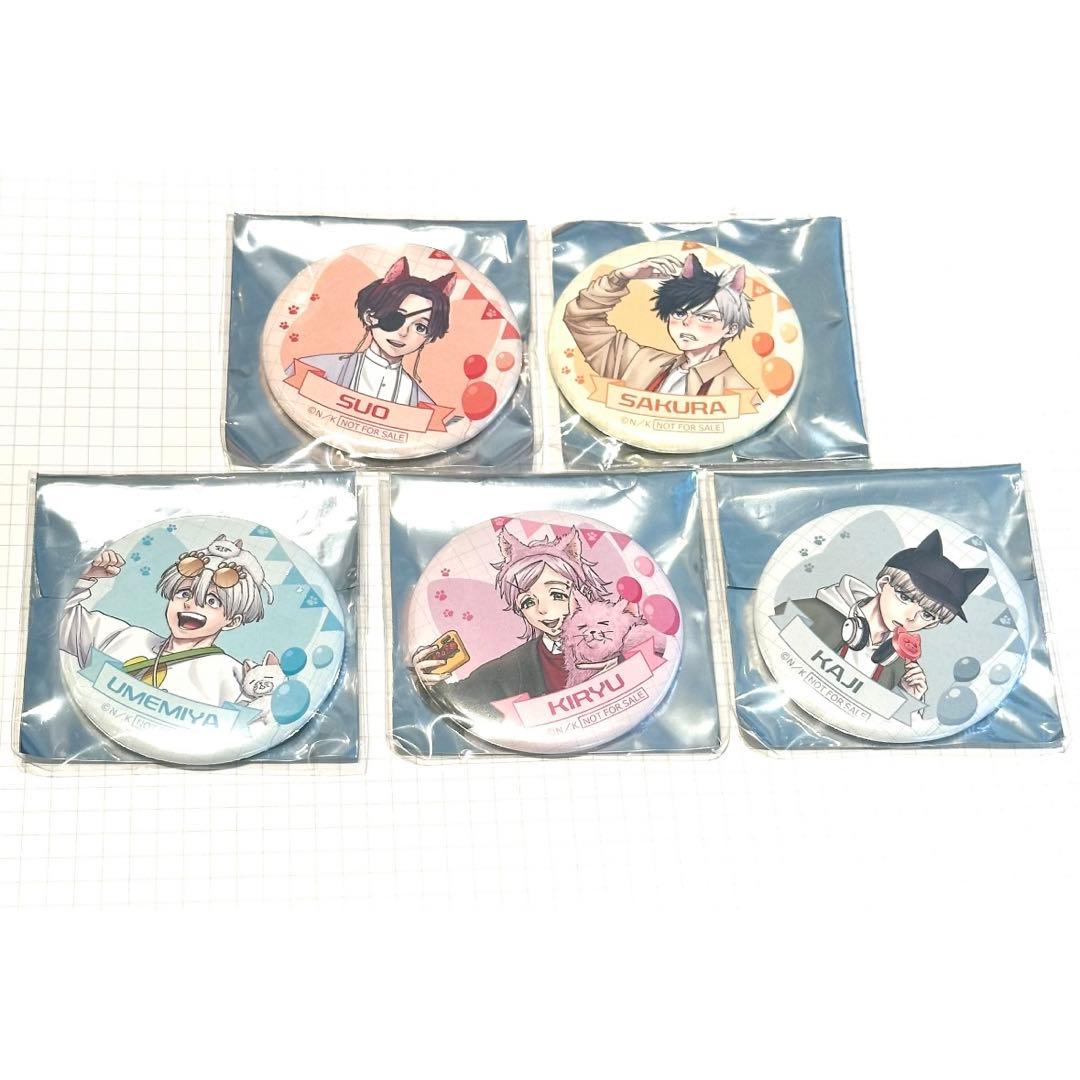 WIND BREAKER ナンジャタウン 缶バッジ　等身　コンプ　5点セット WIND BREAKER ナンジャタウン 缶バッジ 等身 コンプ 5点セット WIND