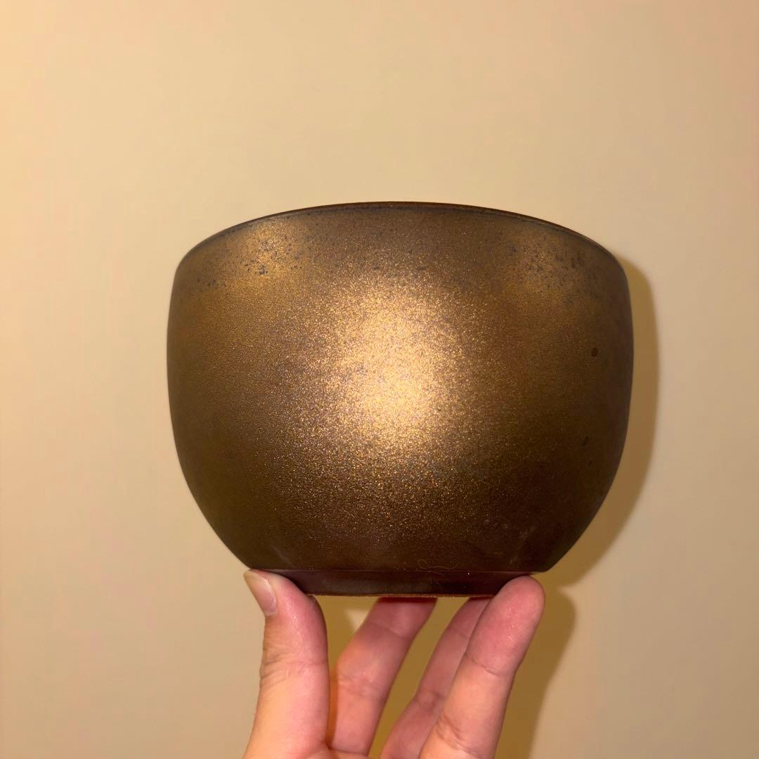 XL 盆栽鉢 作家鉢 陶器 真柏 糸魚川 皐月 五葉松 長寿梅 アガベ