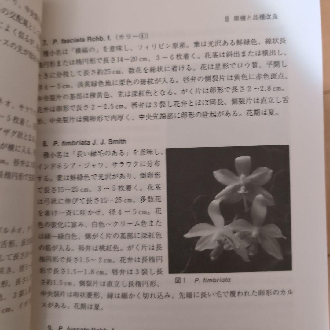 レア】ファレノプシス （花専科・育種と栽培） 市橋正一／編著
