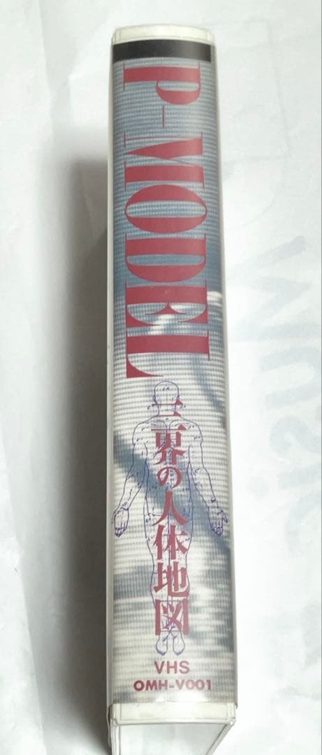 P-MODEL 凍結前9点セット全て美品 平沢進 - メルカリ