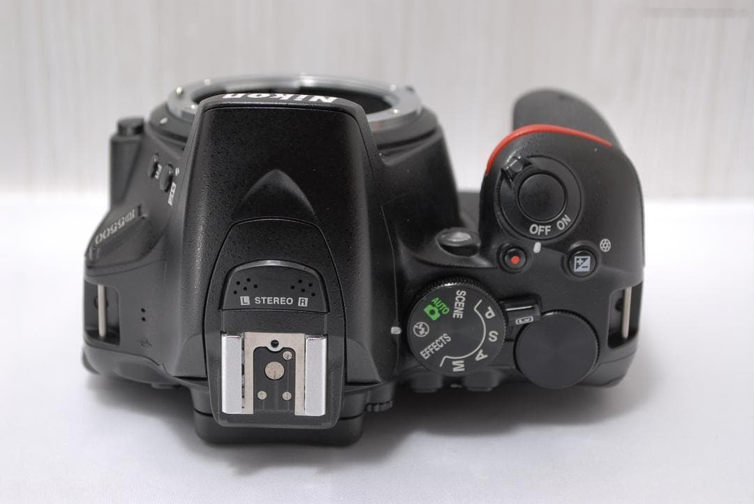 ✨レンズ1本でOK✨Nikon D5500 28-300mm スマホ転送 高倍率 - メルカリ