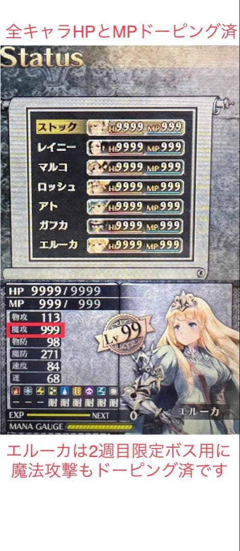 最強やり込み‼️】ラジアントヒストリア パーフェクトクロノロジー