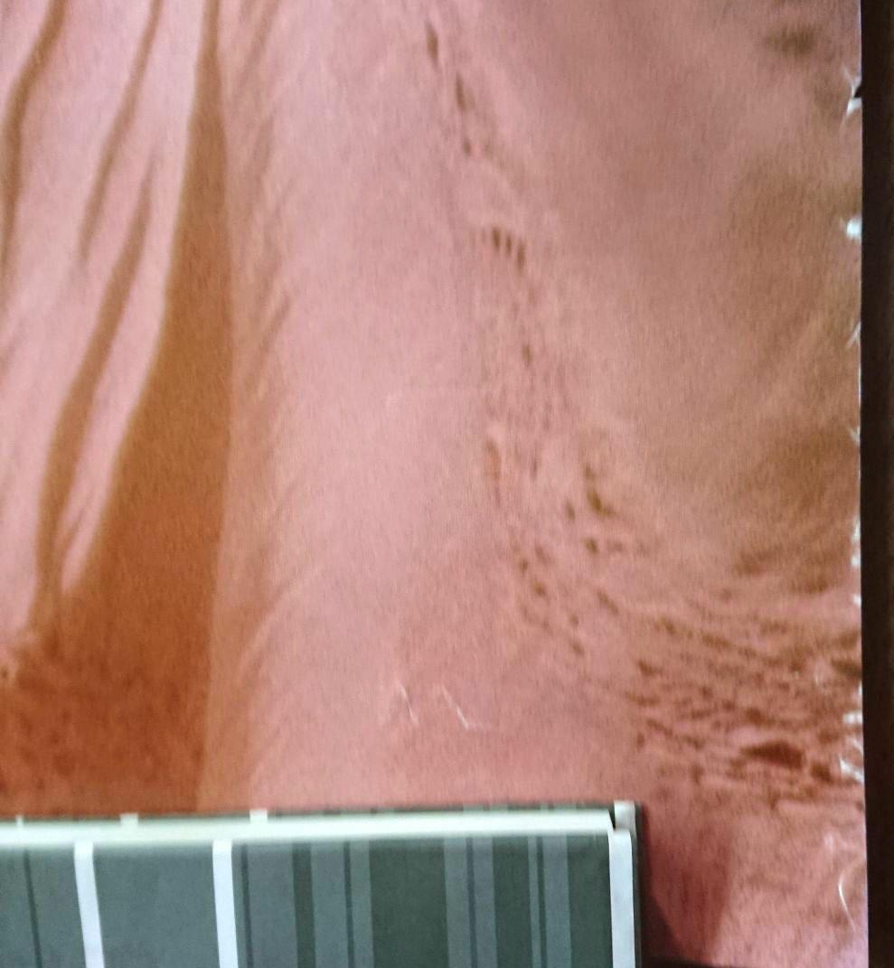 未使用】中森明菜 明治チョコレート ポスターB1 - メルカリ