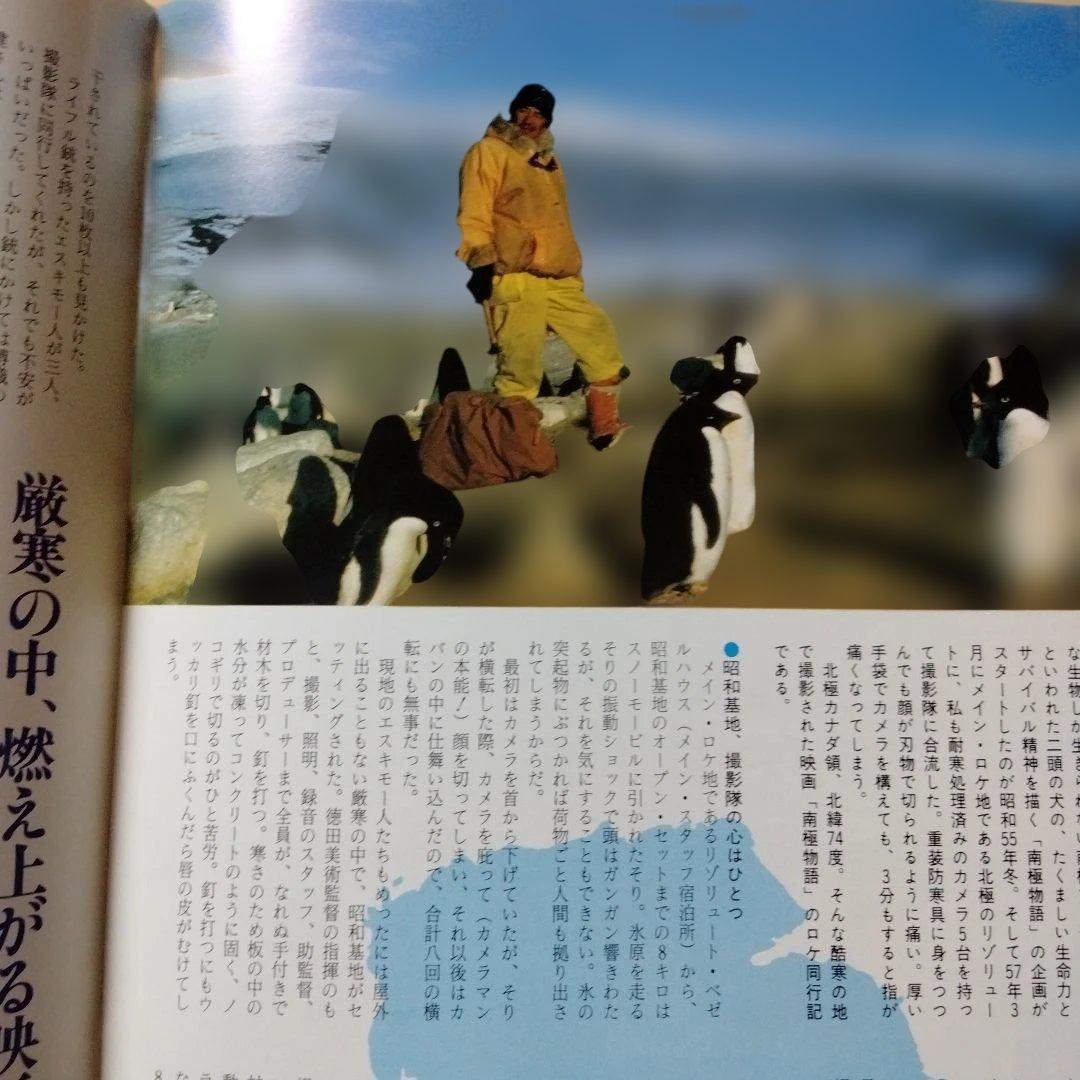 映画「南極物語」のパンフレット・中古品 - メルカリ