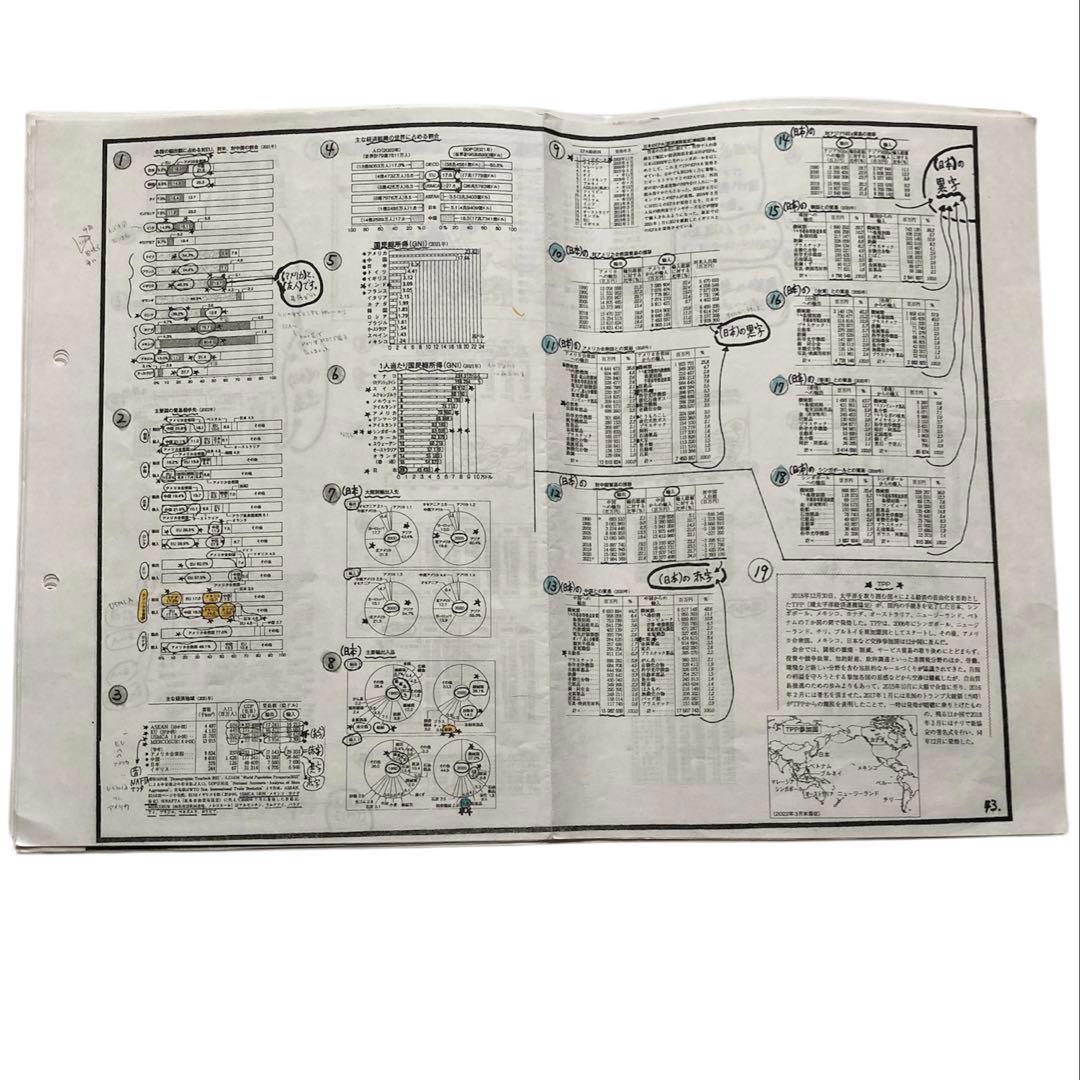 岡田了一郎先生】駿台『通期 地理 オリジナルプリント』 73枚 MSクラス