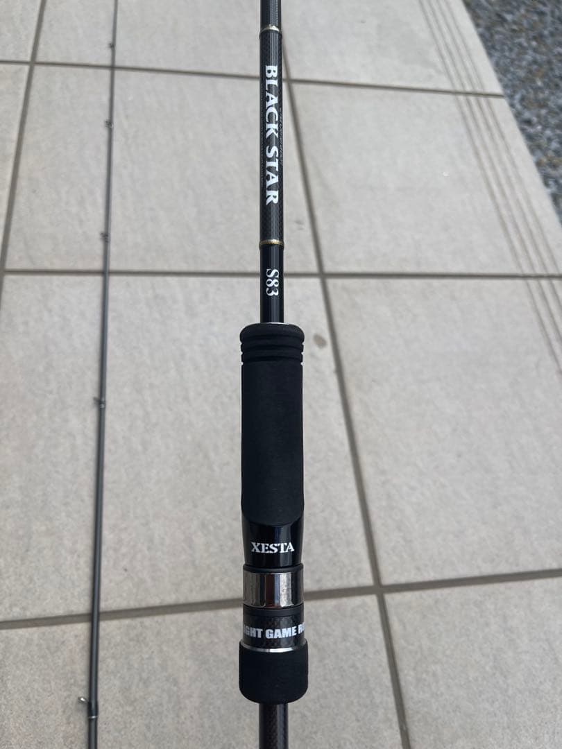 ゼスタ ブラックスター2ND GENERATION S83 ディスタンススケープ