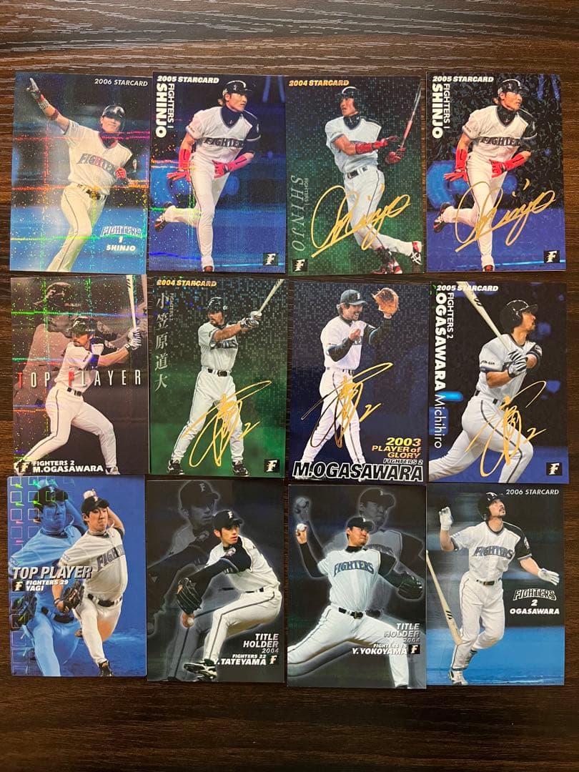 日本ハムファイターズ】カルビープロ野球チップスカード53枚【金箔