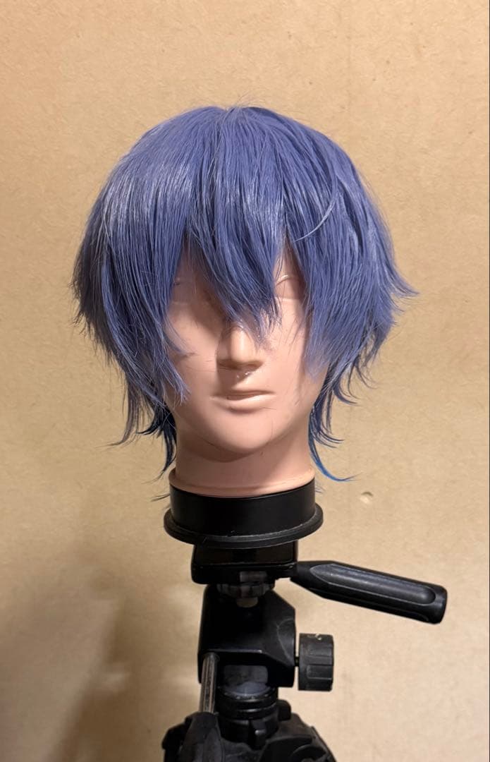 にじさんじ 小柳ロウ コスプレ ウィッグ - メルカリ