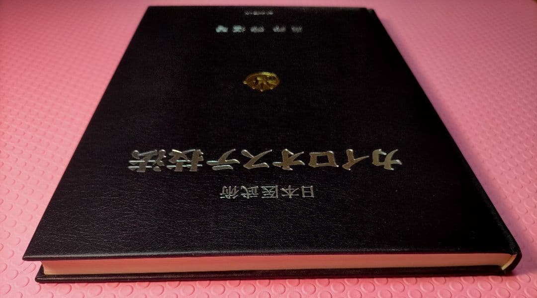 カイロオステ技法 白井秀道著