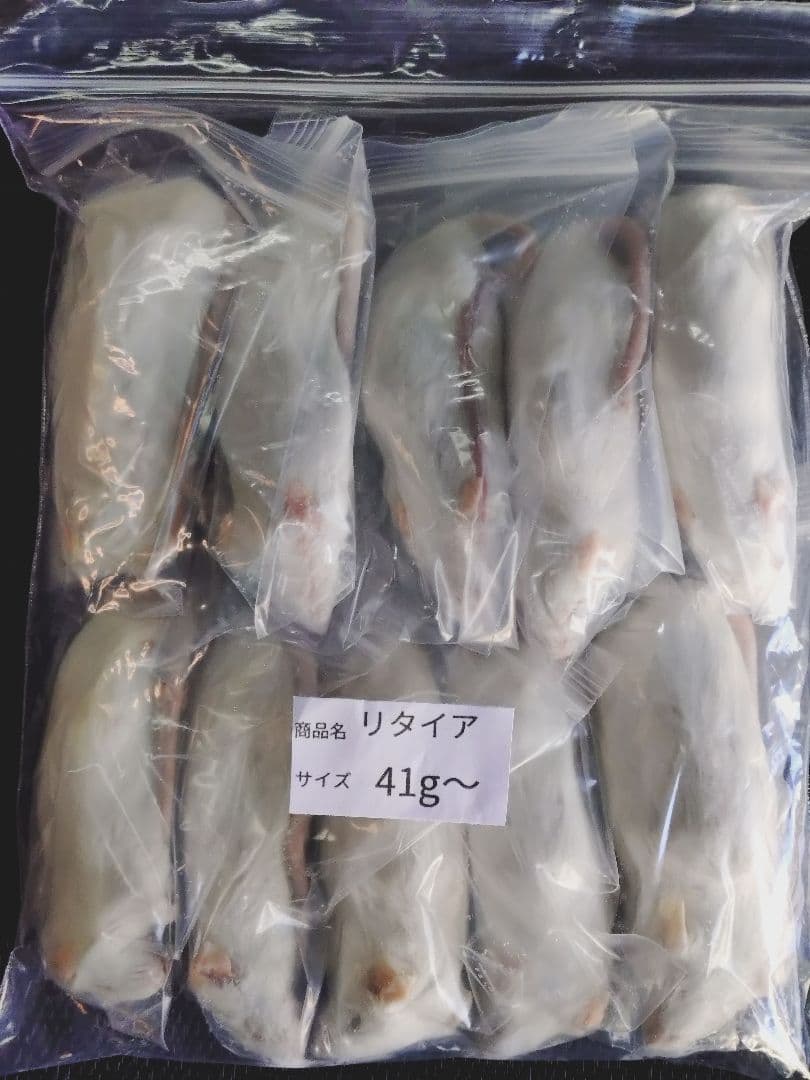 送料無料　冷凍マウスリタイア20匹　ピンクM30匹 送料無料 冷凍マウスリタイア20匹 ピンクM30匹 ピンクマウス Mサイズ