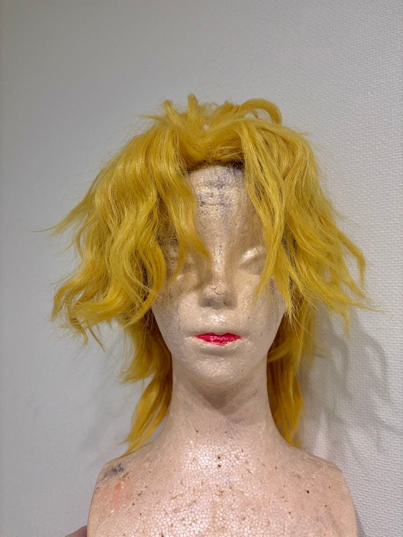 出品1/20まで】ジョジョ DIO コスプレフルセット 【出品1/20まで