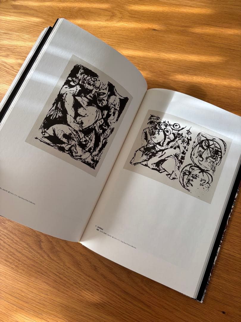 希少】生誕100年 ジャクソンポロック jackson pollock画集 - メルカリ