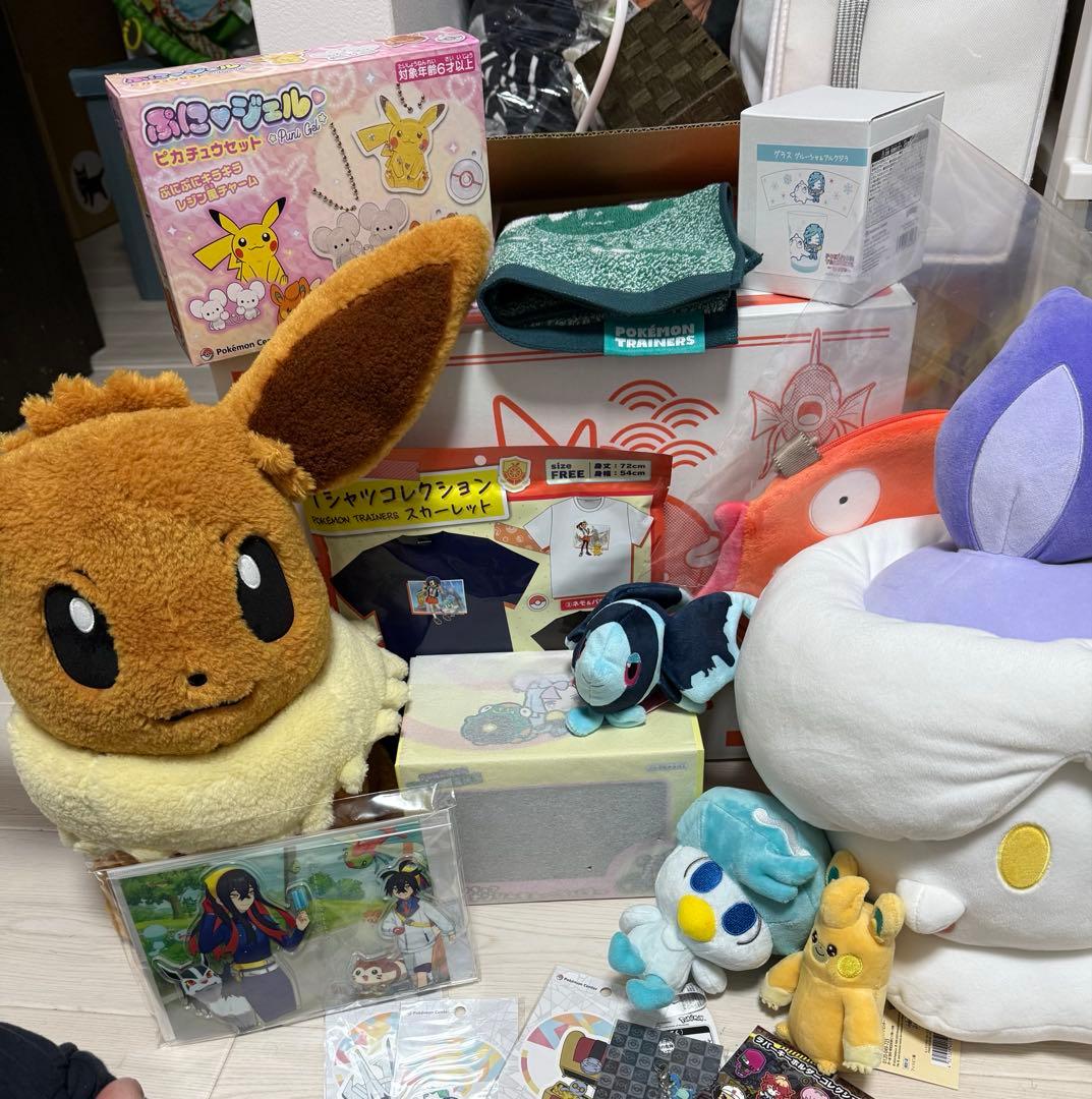 ピカピカボックス 2026 ポケモンセンターオンライン 開封済み 抜き取り