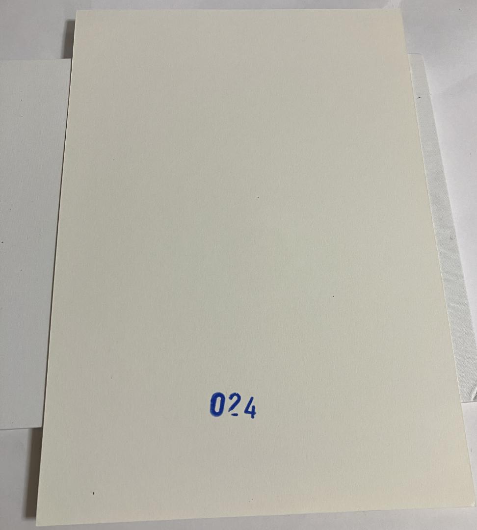 ディー・テートリッヒェ・ドーリス/Aloa Book+DVD