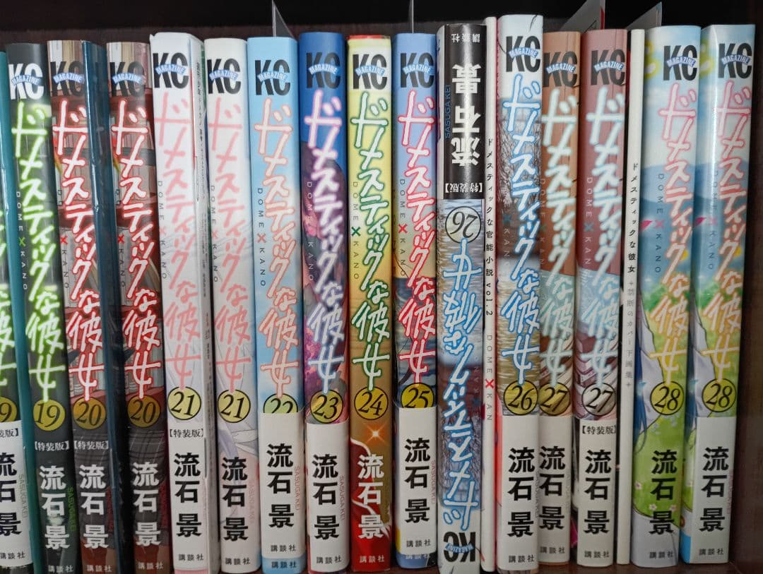 ドメスティックな彼女　1-28ほぼ初版