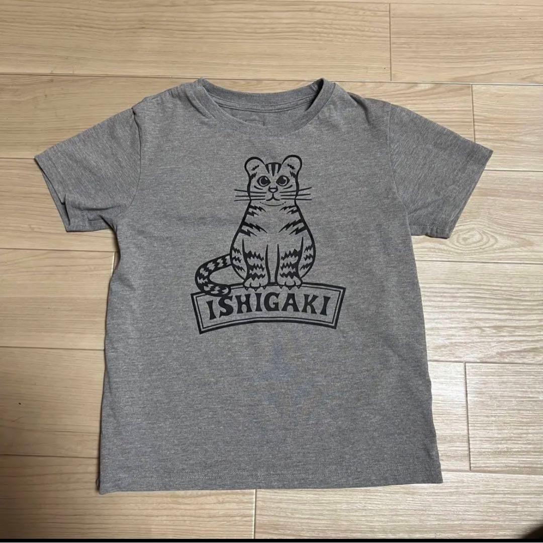 ノースフェイス♡石垣島限定♡140イリオモテヤマネコTシャツ♡ - メルカリ