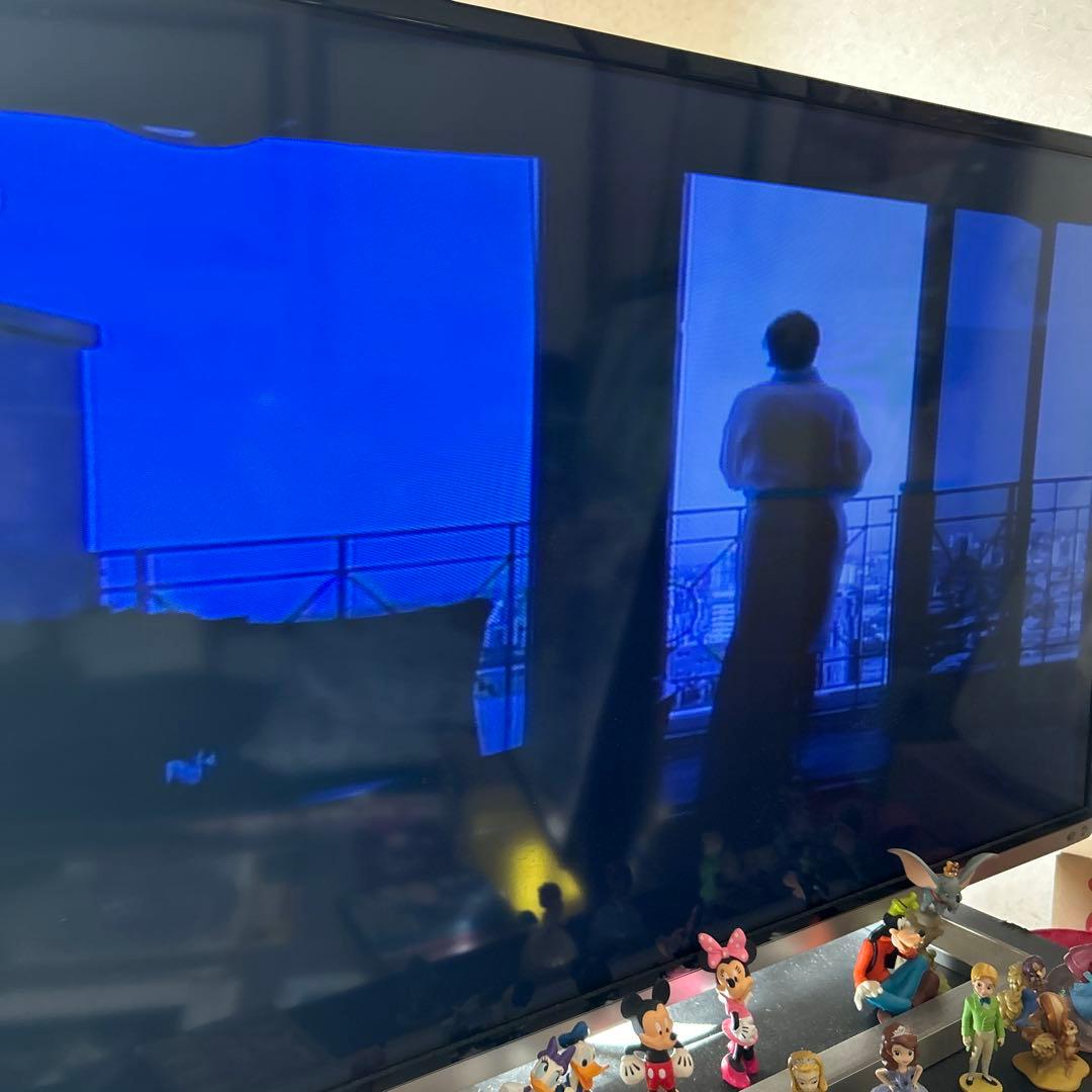 ☆初ライブ映像☆k.d.lang live in sydney レーザーディスク