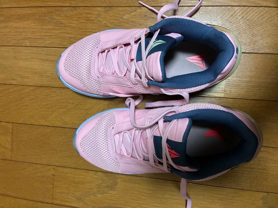 NIKE JA1 EP 26.5cm スジオカボード付き