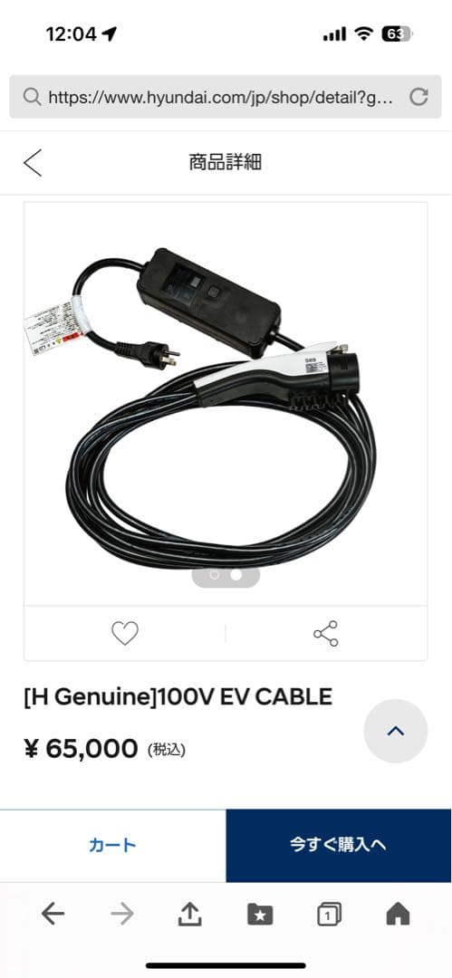 100V EV車 電気自動車 hyundai 充電器 100V 充電 ケーブル - メルカリ