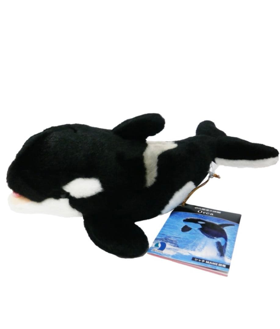名古屋港水族館 飼育員監修ぬいぐるみ リアルシャチ(メス) Sサイズ