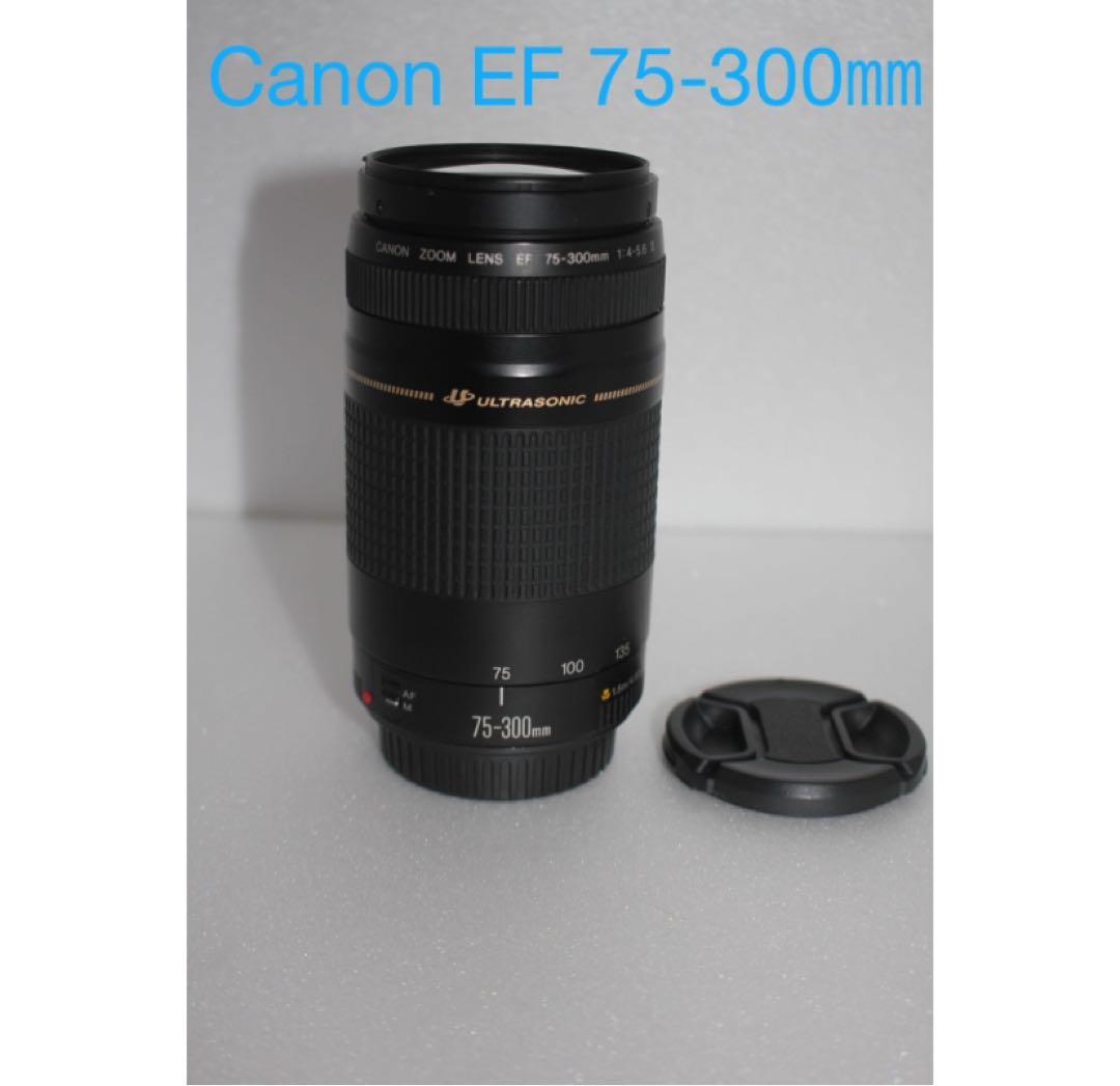 イベント/キャノン/大迫力の300㎜/Canon EF75-300㎜ Canon EF 75-300mm f/4-5.6 III Telephoto Zoom Lens for EOS Rebel