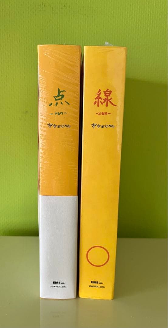 新品・未開封・未読】宇多田ヒカル 点-ten-・線-sen- 2冊セット