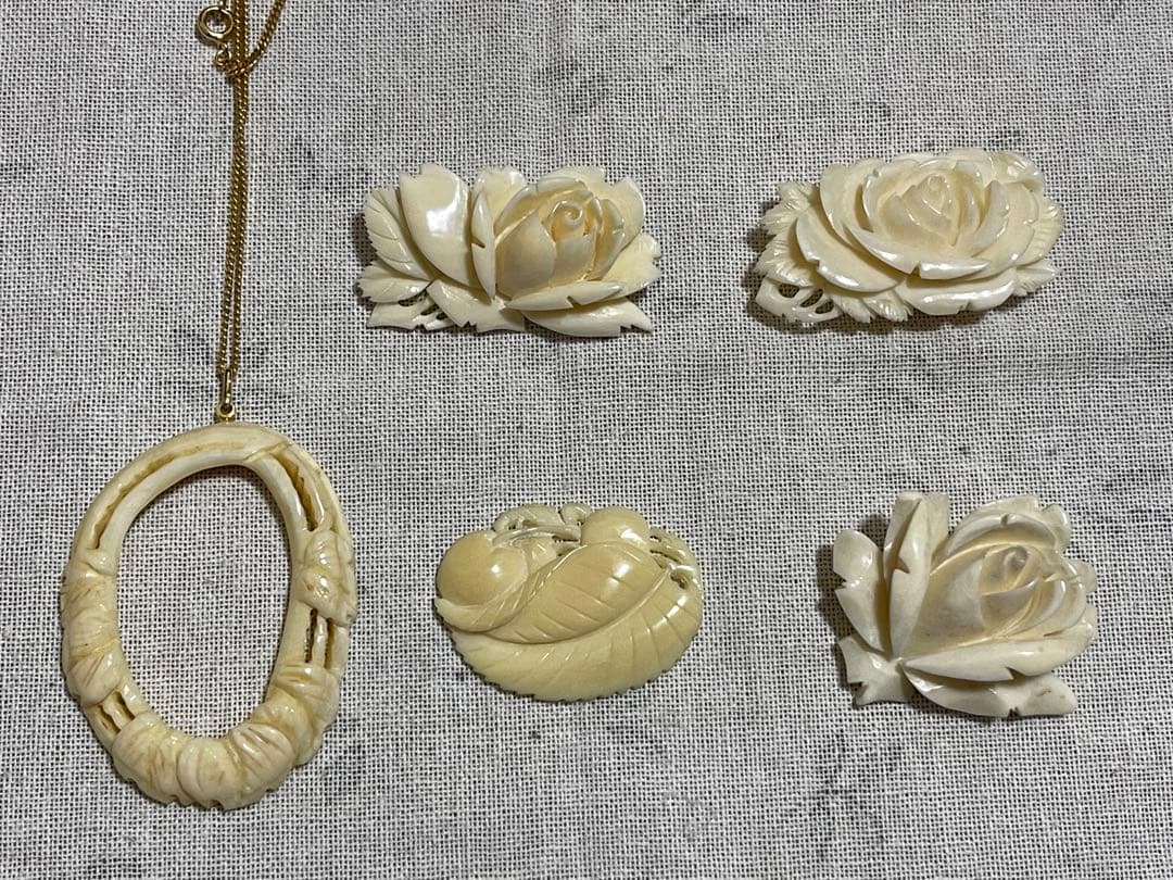 鯨の歯 クジラ 5点まとめ売り クジラを学ぼう！】第2回 クジラの種類について | くじらタウン