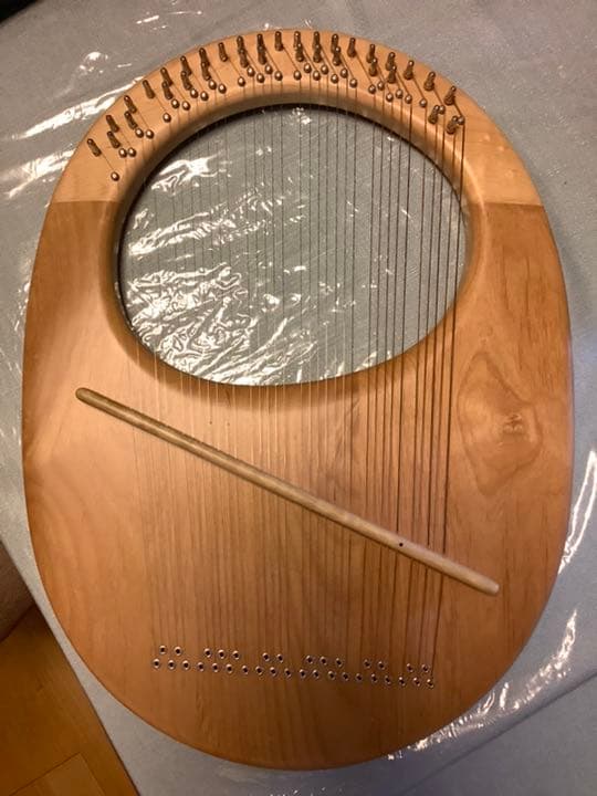 ライアー 34弦 アフロディーテの竪琴 エッグちゃん - メルカリ