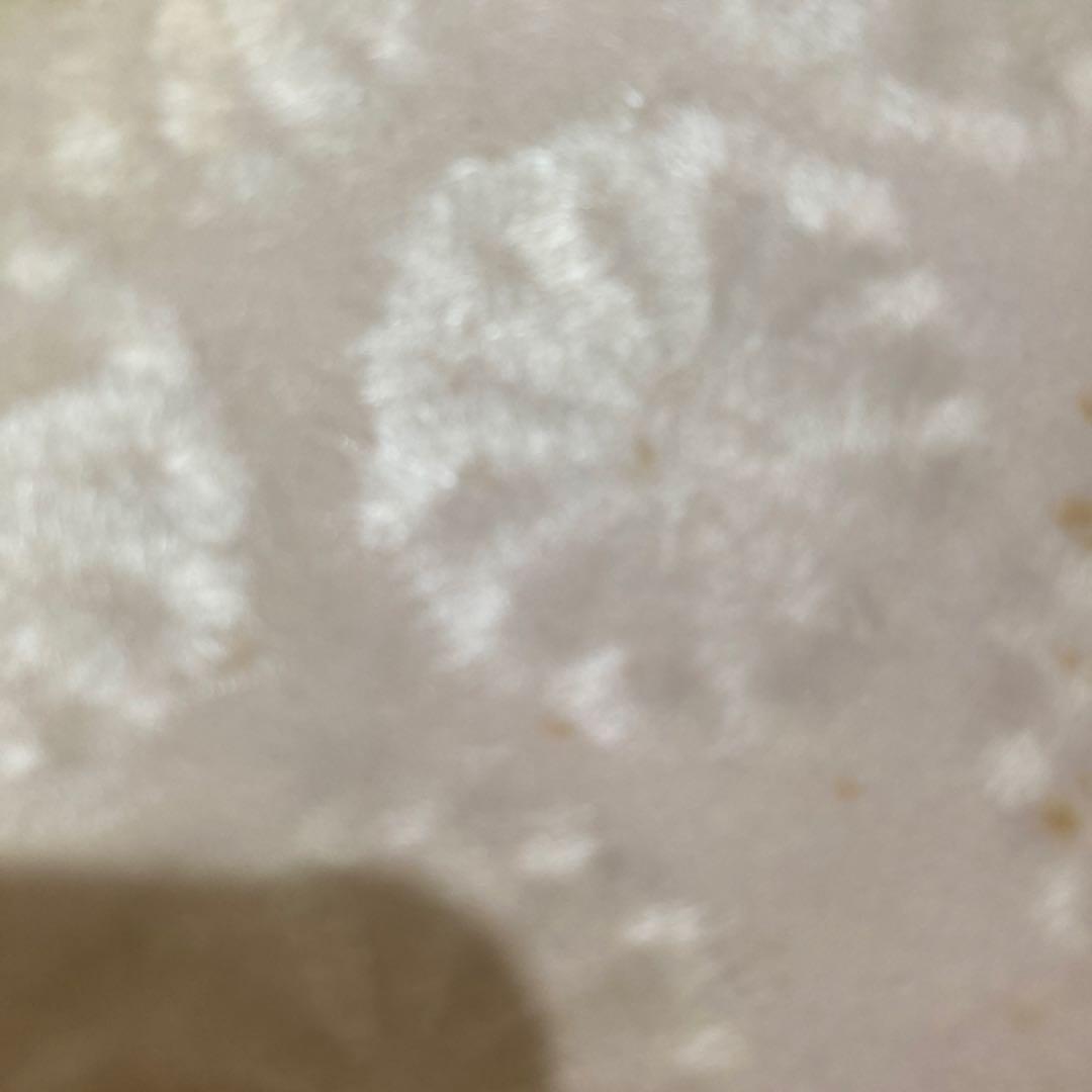 舟越 保武 ブロンズレリーフ 花 - メルカリ