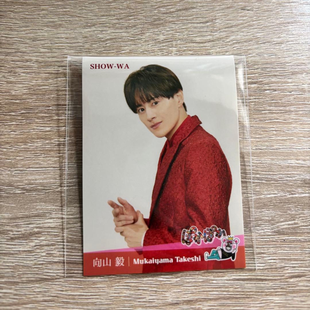 SHOW-WA 向山毅 ぽかぽか ステッカー - メルカリ