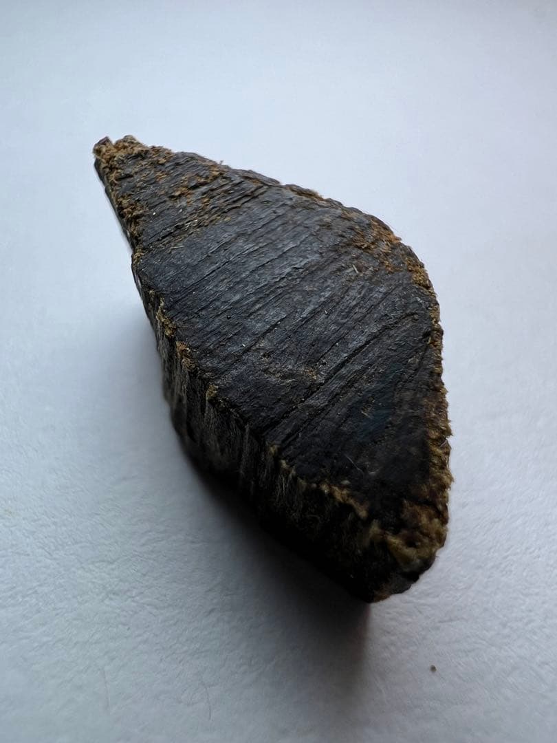 古渡命銘木 貳/二百種名香　真南蛮　銘【吐月】0.681g 香木/沈香/伽羅