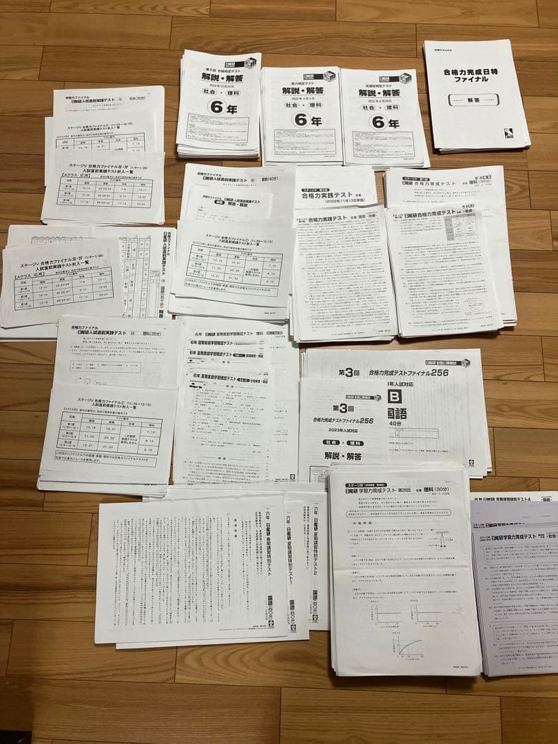 日能研 小6 全国公開模試 実力判定/合格力実践/育成テスト他　2022年実施 大撃沈！！【日能研】公開模試（6年生8回目／第2回合格判定テスト）の