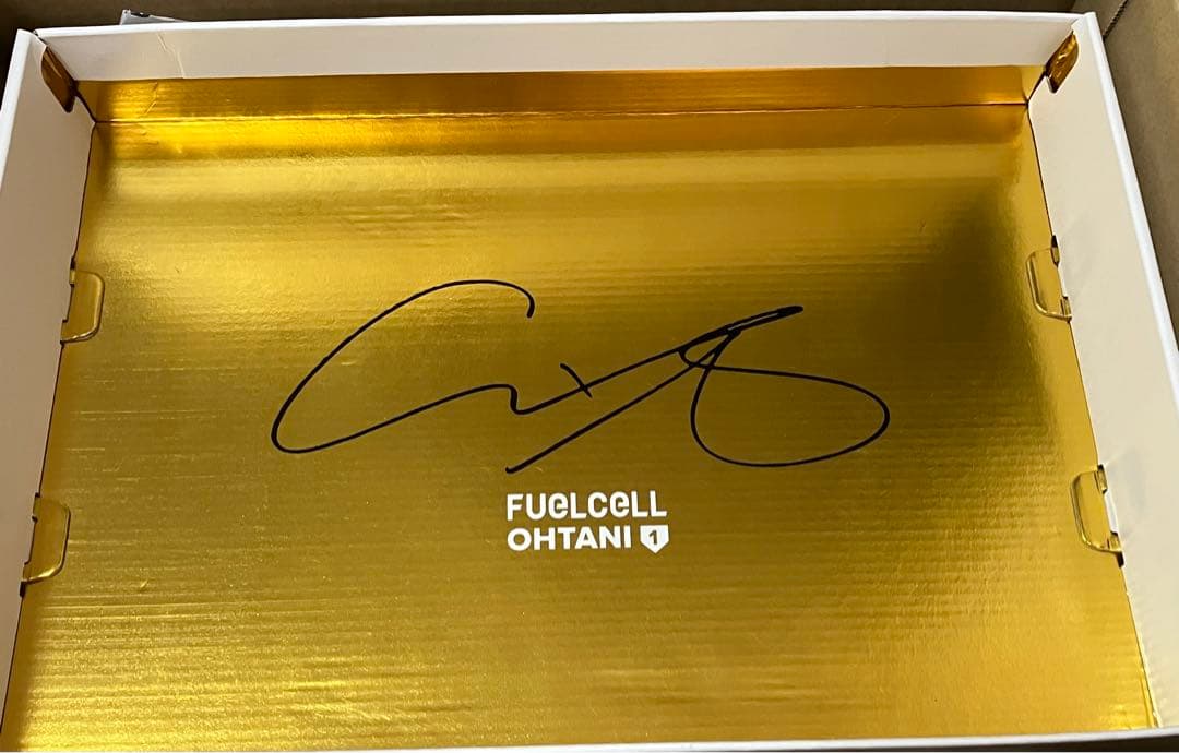 【新品】大谷翔平 ニューバランス Ohtani v1 Turf 28.0cm