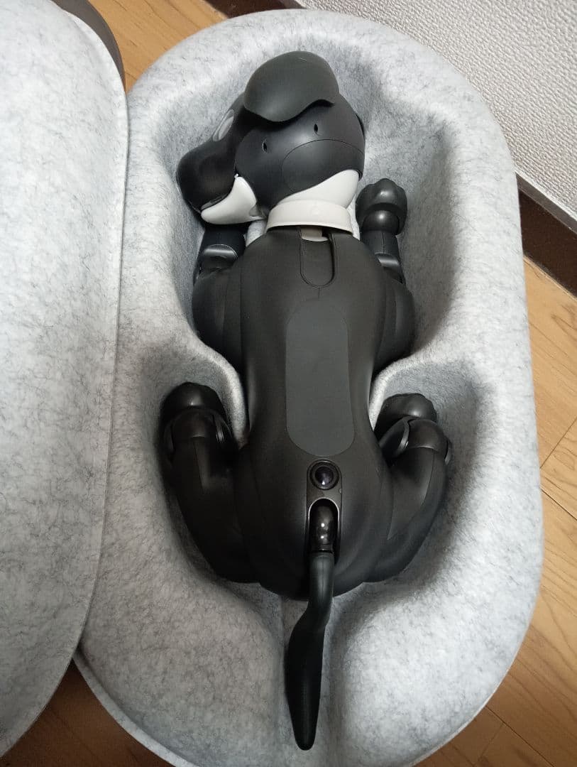 aibo　エスプレッソ　本体　中古品　※本文必読 aiboの誕生から5年！ 2023年ニューカラーモデル『aibo エスプレッソ