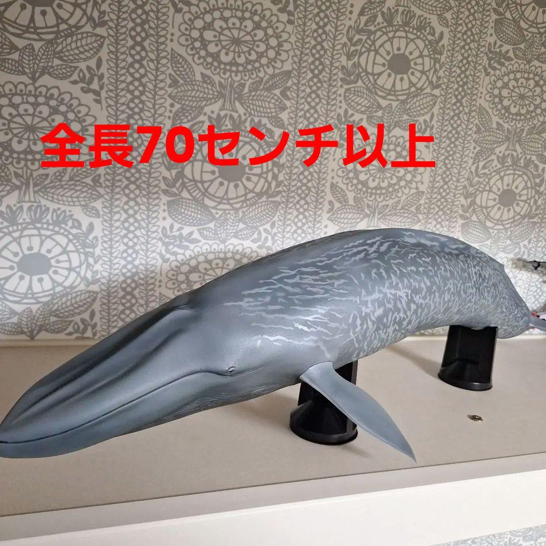 海洋堂 巨大フィギュア 全長70cm以上! シロナガスクジラ - メルカリ