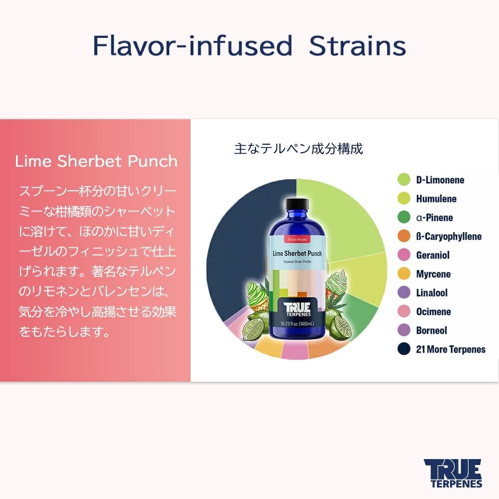 TRUE テルペン CBD CBN CBG 10ml ライムシャーベットパンチ