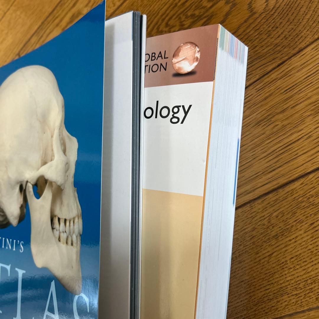 視覚解剖学と生理学、グローバルエディション+マルティーニの人体地図