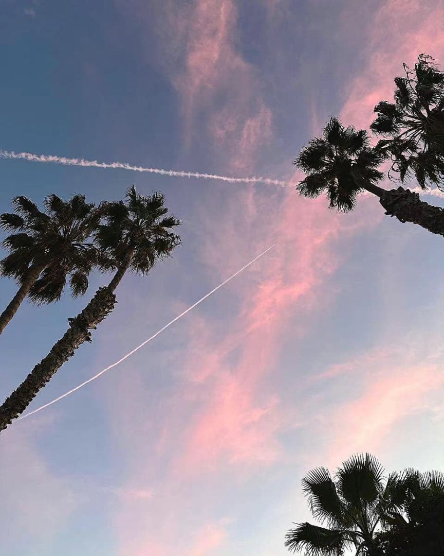 紙袋 手提げ紙袋 モノタロウ 茶無地色 幅260mmマチ120mm高さ270mm 1パック