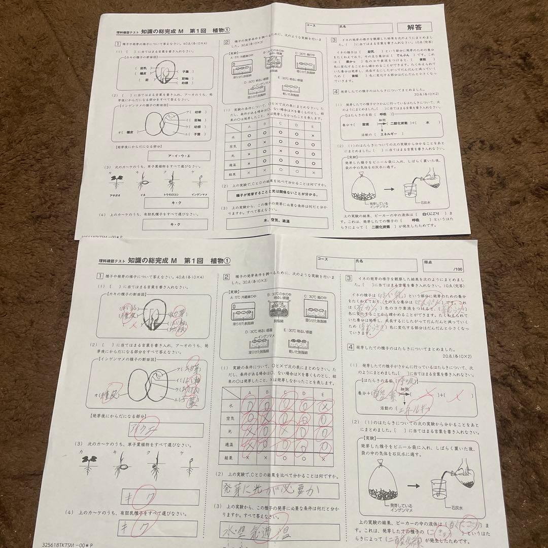 2026年受験組用 サピックス6年 理科 知識の総完成M - メルカリ