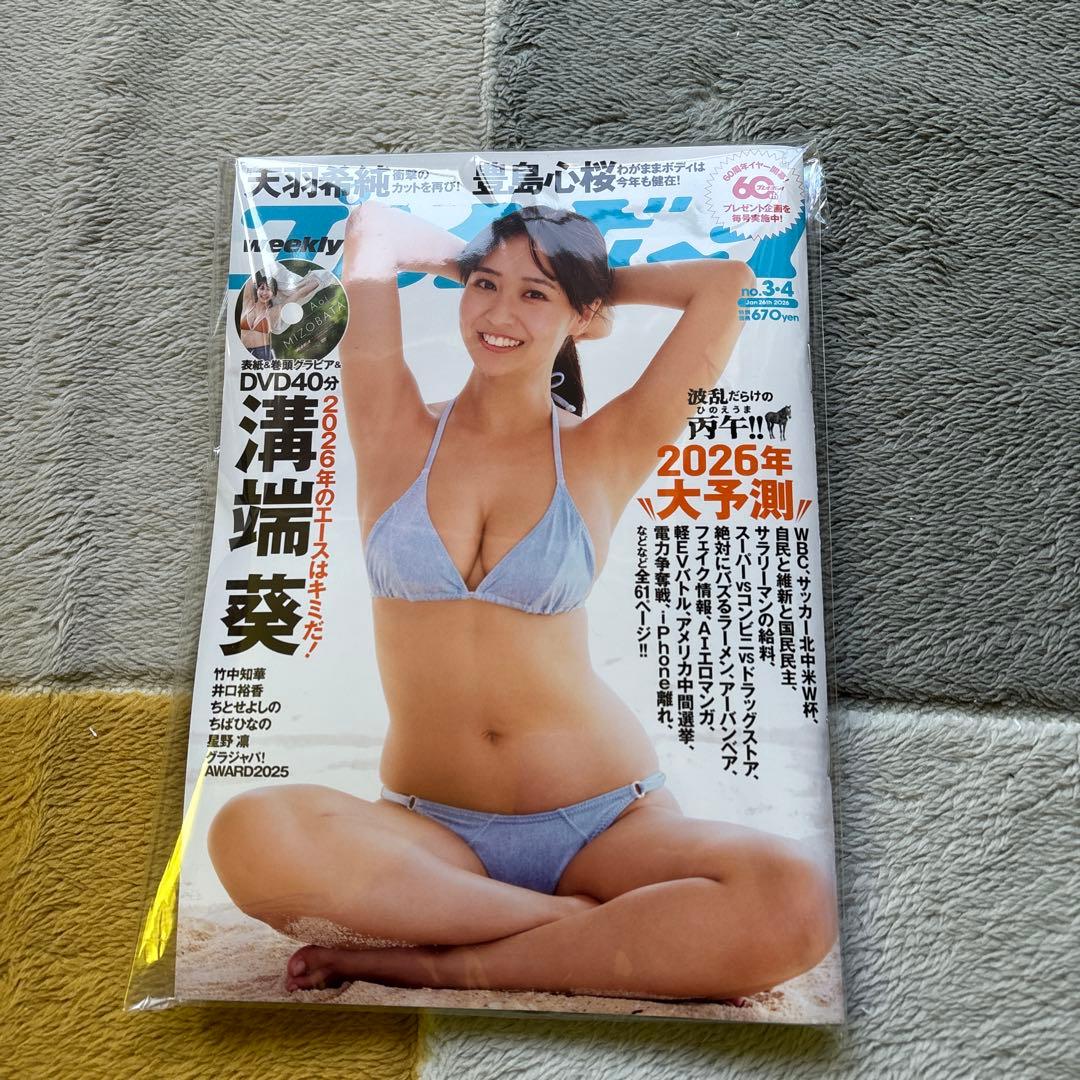 週刊プレイボーイ 2026年3.4号溝端葵 - メルカリ