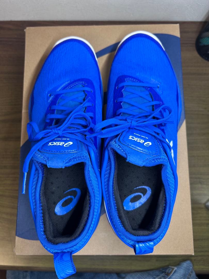 ASICS GLIDE NOVA（グライドノヴァ）ff2 26.5cm 限定