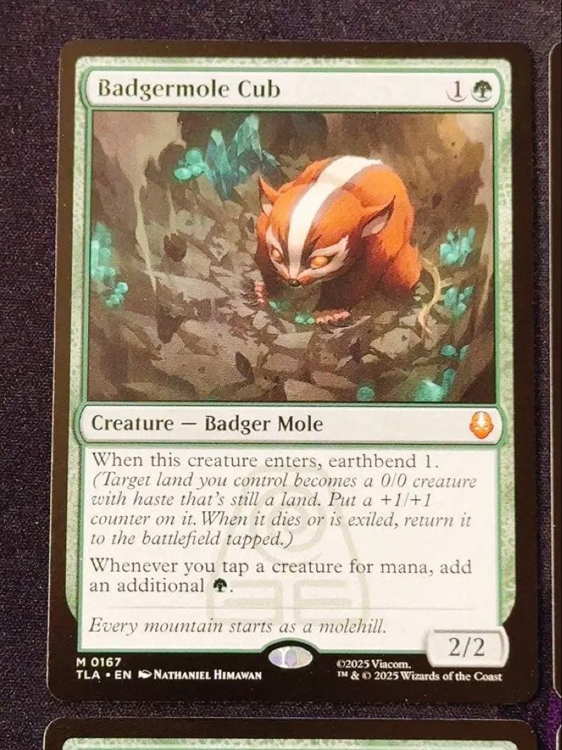 アナグマモグラの仔 英語 4枚セット - メルカリ