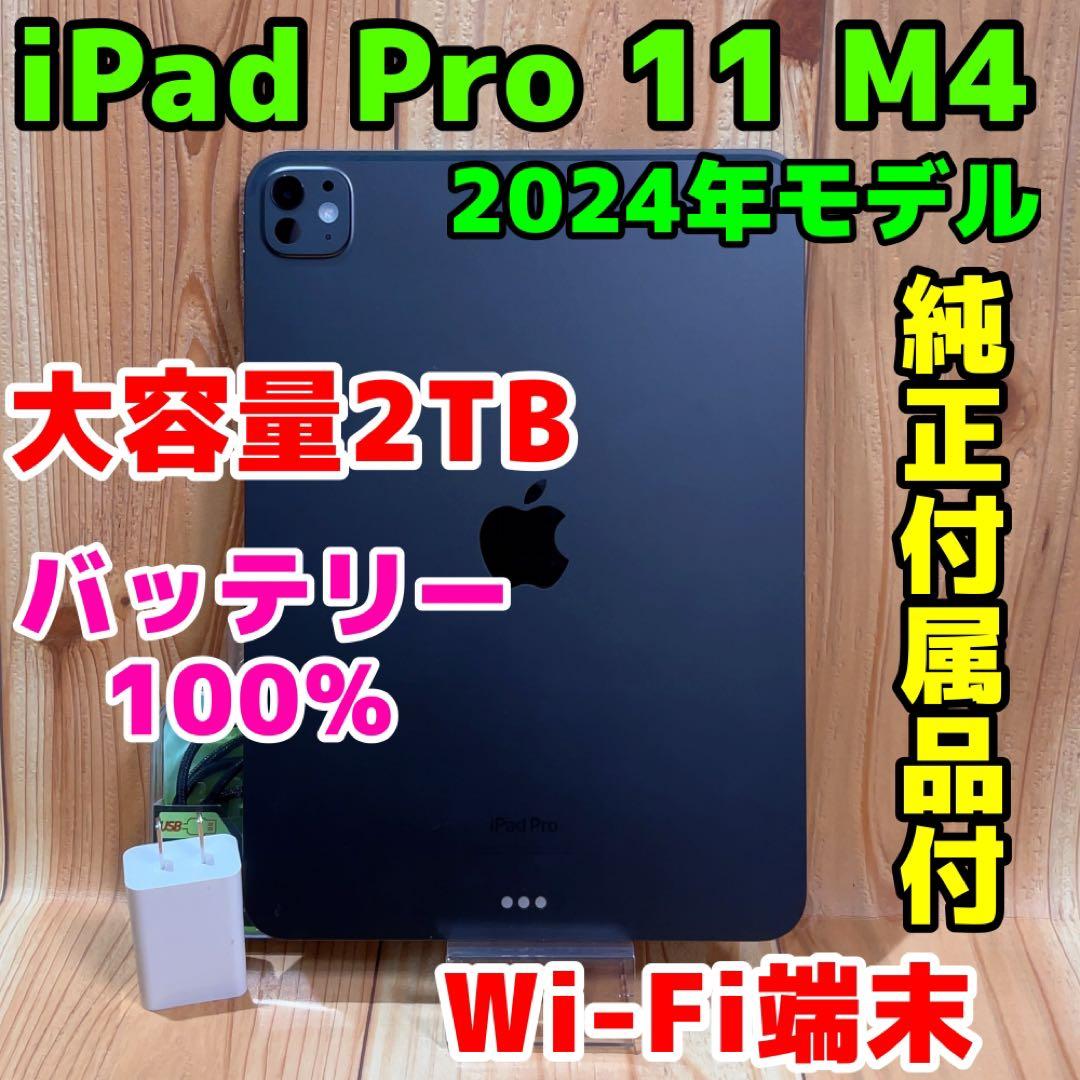 Wi-Fi 本体 iPad Pro 11 M4 2TB 437 スペースブラック iPad Pro 11