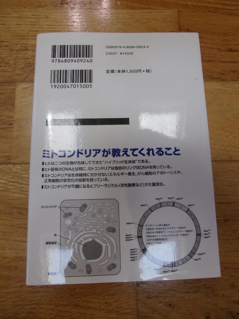がん免疫療法／メトセラペレット イオン化セラミックスES－27
