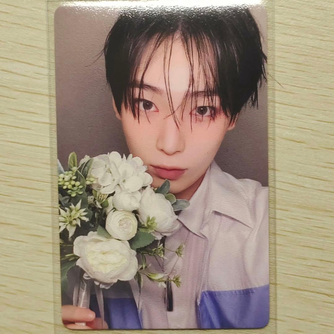 ENHYPEN ソヌ daydream yizhiyu 限定 花束 トレカ - メルカリ