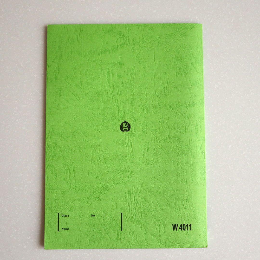 駿台テキスト 物理総合研究〜発展問題の完全攻略・夏編〜 2023年 夏季